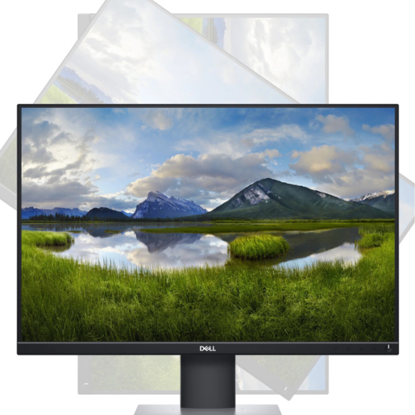 dell P2421 1