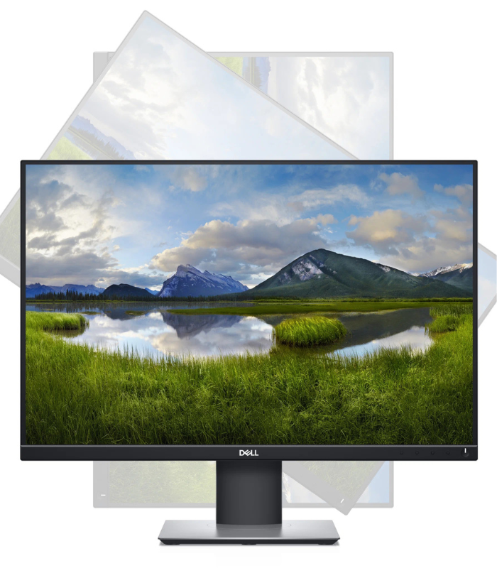 dell P2421 1